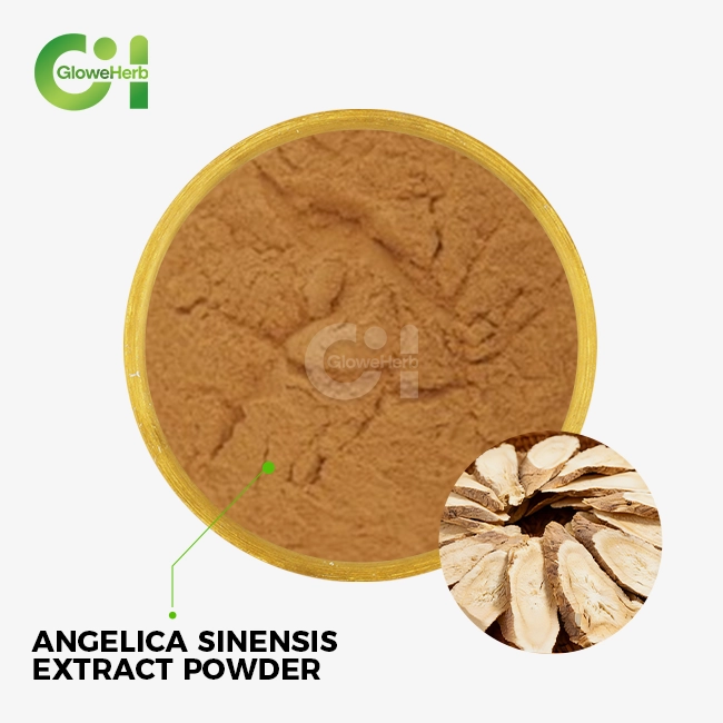 angelica sinensis extract powder